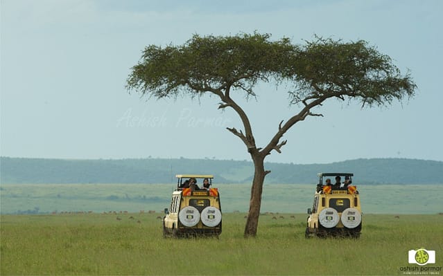 Masai Mara Photography Safari 2