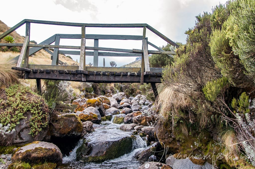 Liki River Bridge - Mount Kenya