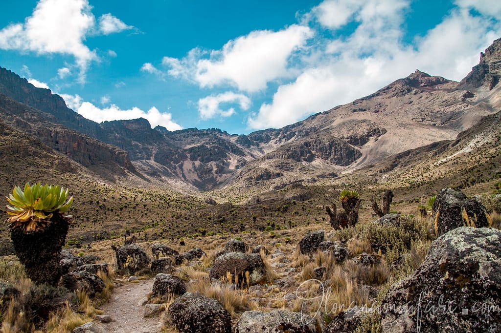 Mackinder Valley 3 - Mount Kenya