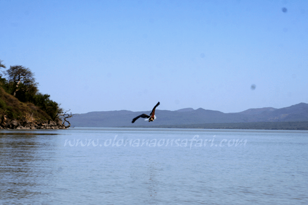 Baringo lake scenery