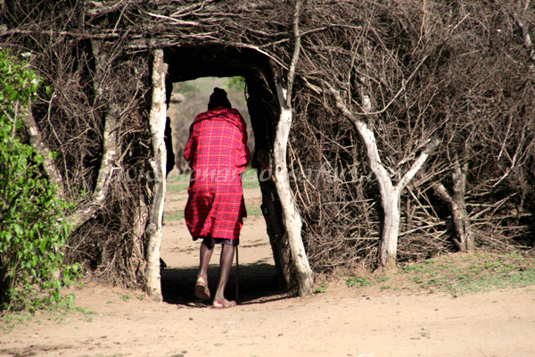 Off the beaten road, Kenya Safari 15