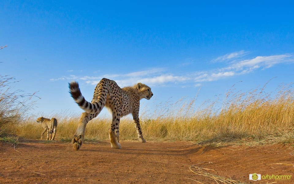 Masai Mara...Photography 1 f